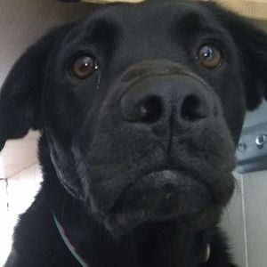 Meet your Posher, Amy jo